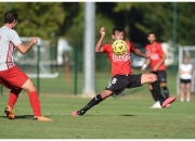 米兰捕鱼-包含甘冈新援失望透顶，球队表现不如人意的词条