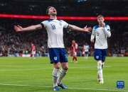 米兰捕鱼-英格兰国家队在欧预赛中取得连胜