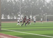 米兰体育-精英球员在绿茵场上展现出色表现