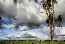 米兰体育网页版-铁锤硬核！夜闯红酒窖逆天改命，西汉姆联绝境夺三分