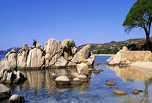 米兰捕鱼-亚洲杯神剧情！双子梅西生死对决点球绝杀引爆世纪狂欢