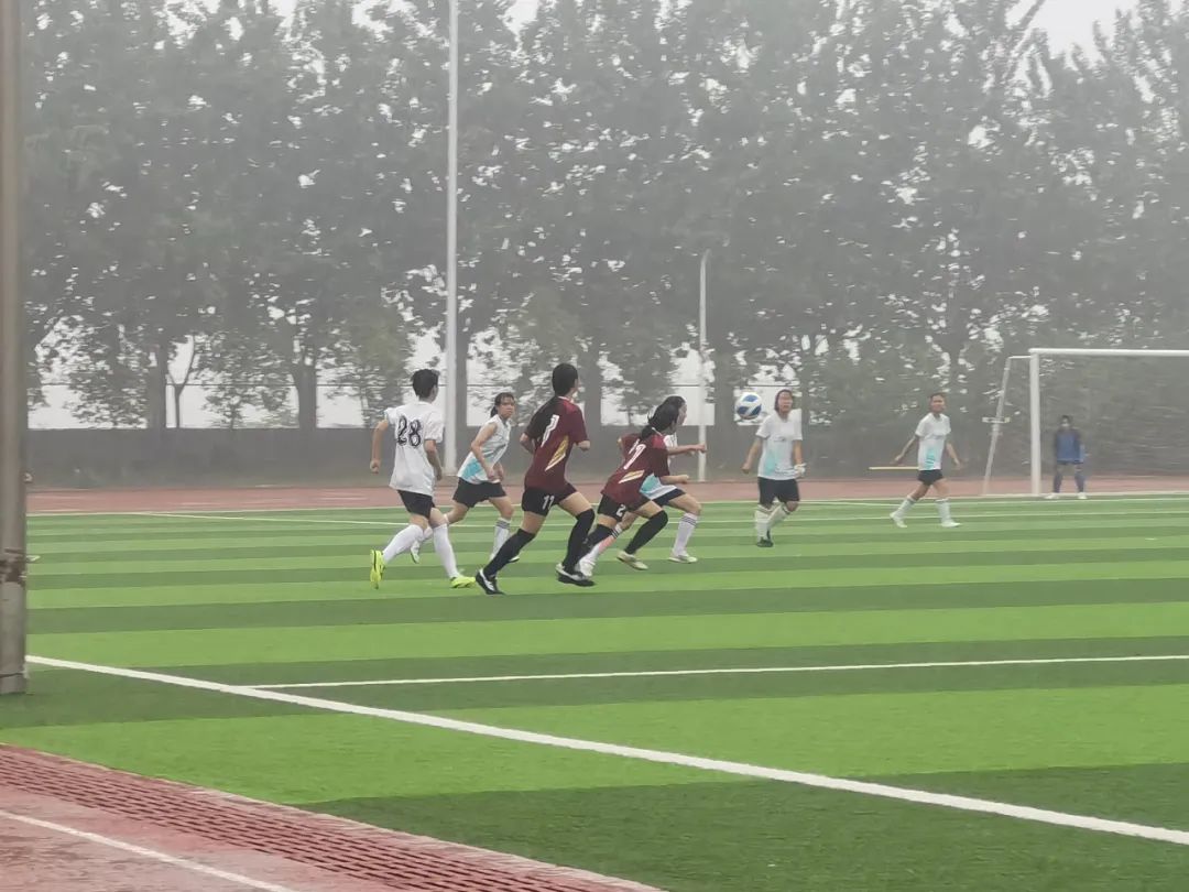 精英球员在绿茵场上展现出色表现 精英球员在绿茵场上展现出色表现