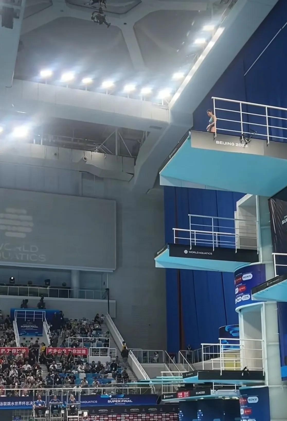 加拿大跳水选手表现抢眼,多次登顶领奖台的简单介绍 加拿大跳水选手表现抢眼,多次登顶领奖台的简单介绍